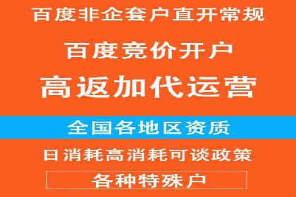 百度优化推广策略解析与应用案例